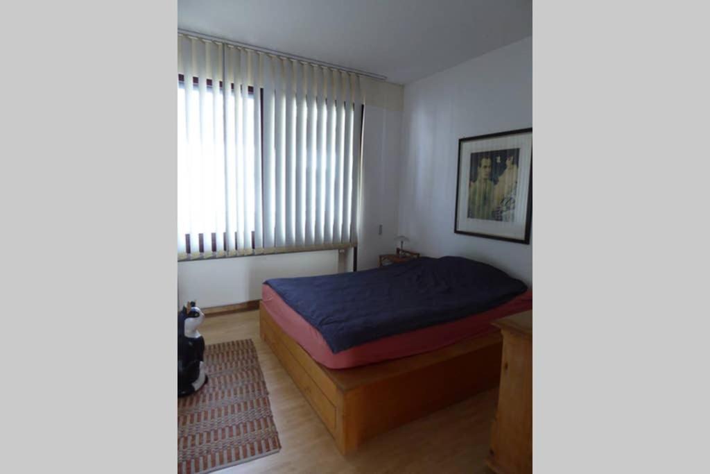 Im Herzen Von Apartment Aschaffenburg